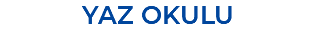 YAZ OKULU